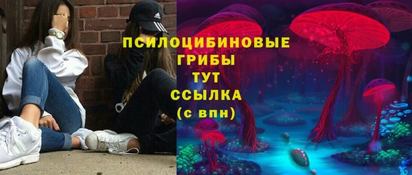 дурь Алексеевка